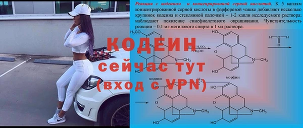 PSILOCYBIN Балахна