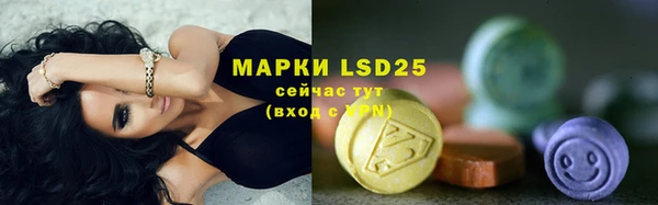 спайс Баксан