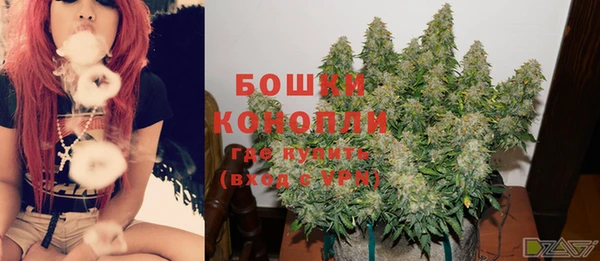 спайс Баксан
