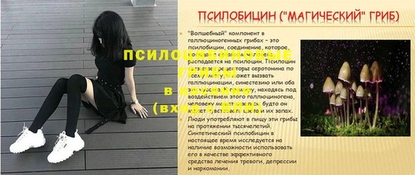 PSILOCYBIN Балахна
