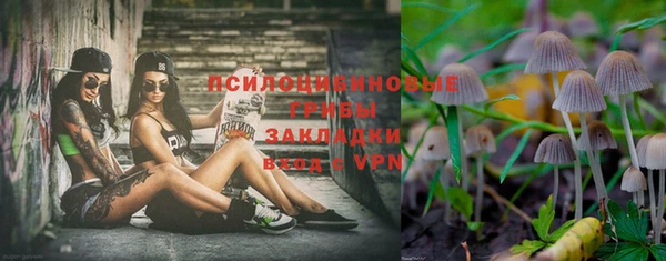 спайс Баксан