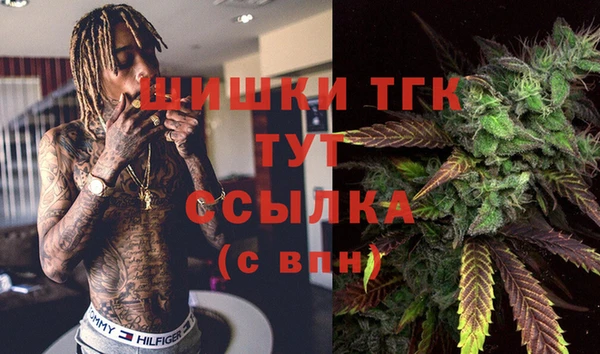 спайс Баксан