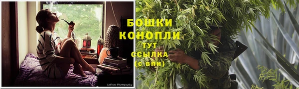 спайс Баксан