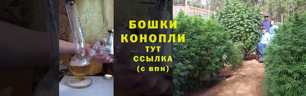 PSILOCYBIN Балахна